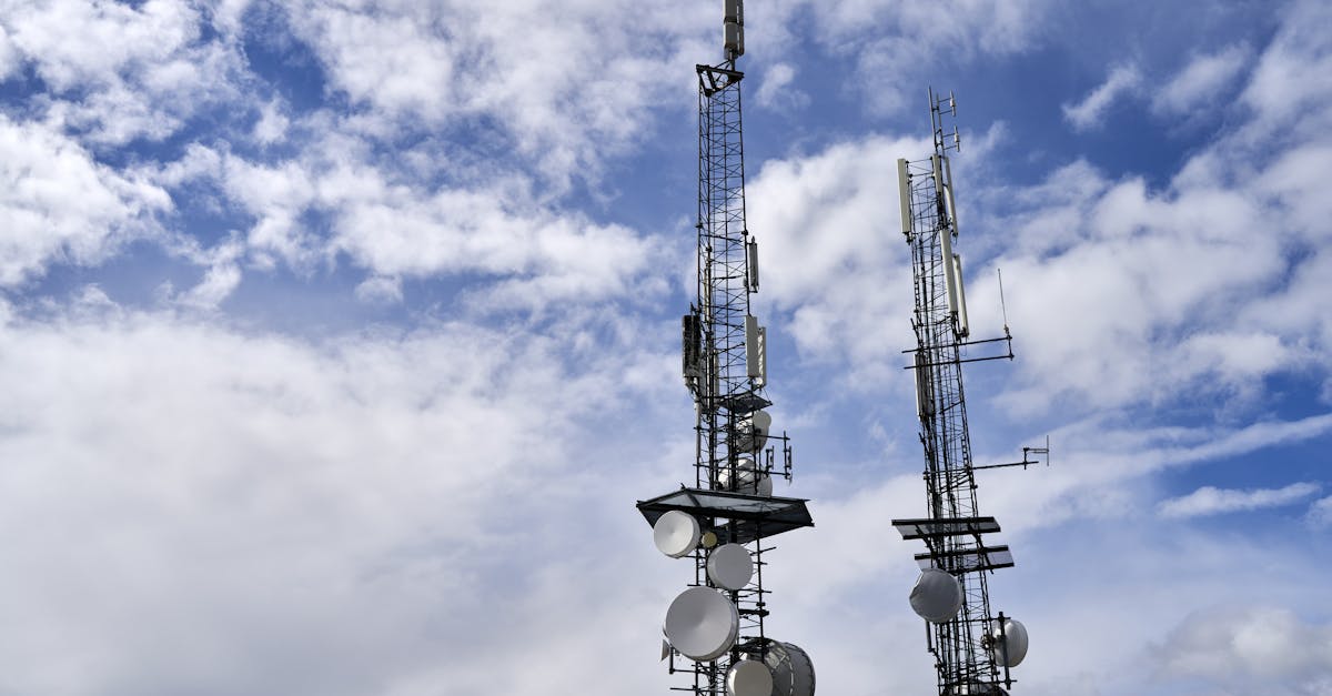 木盒红沉香（细）：详情下载教程工行app详情下载教程