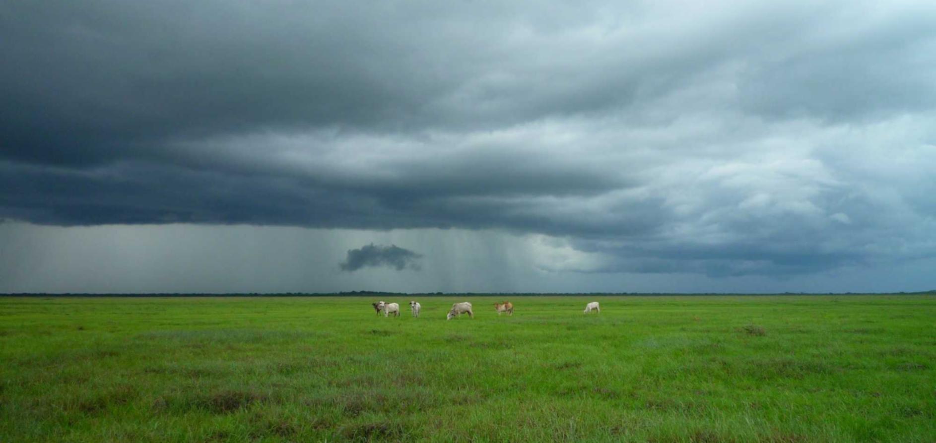 绑卡微信号买卖：龙珠微信账号注册