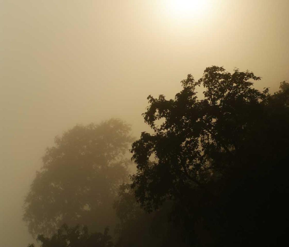 国内微信买卖：短信营销能否形成独特的竞争优势 