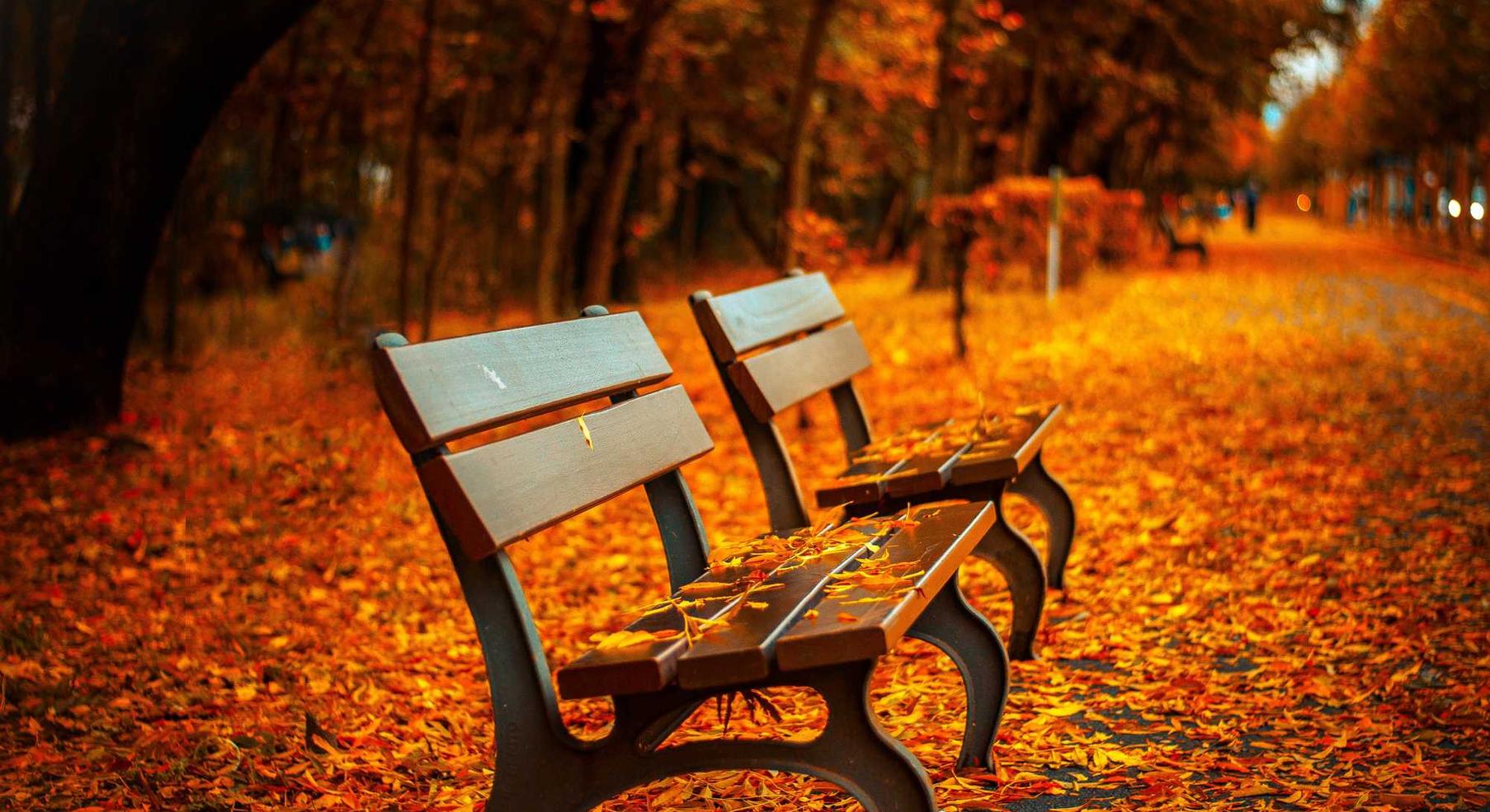 技术支持辅助是否超越了成功技能的价值