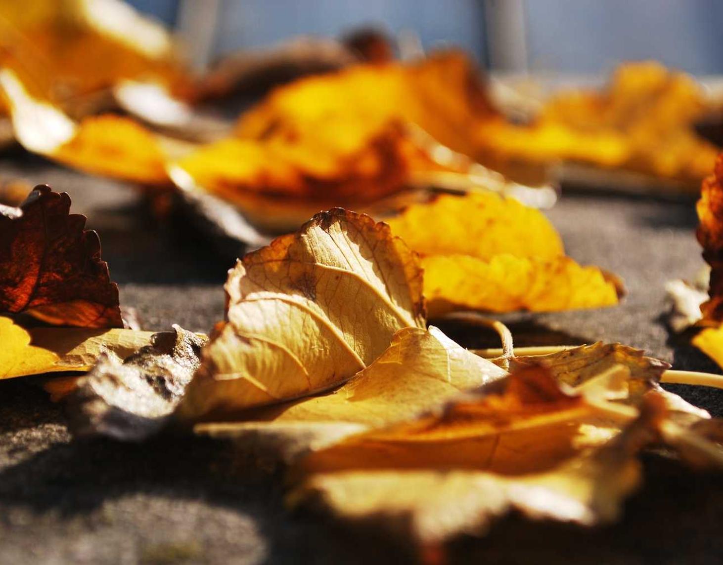 华为云国际站实名账号：毒app在哪详情下载教程