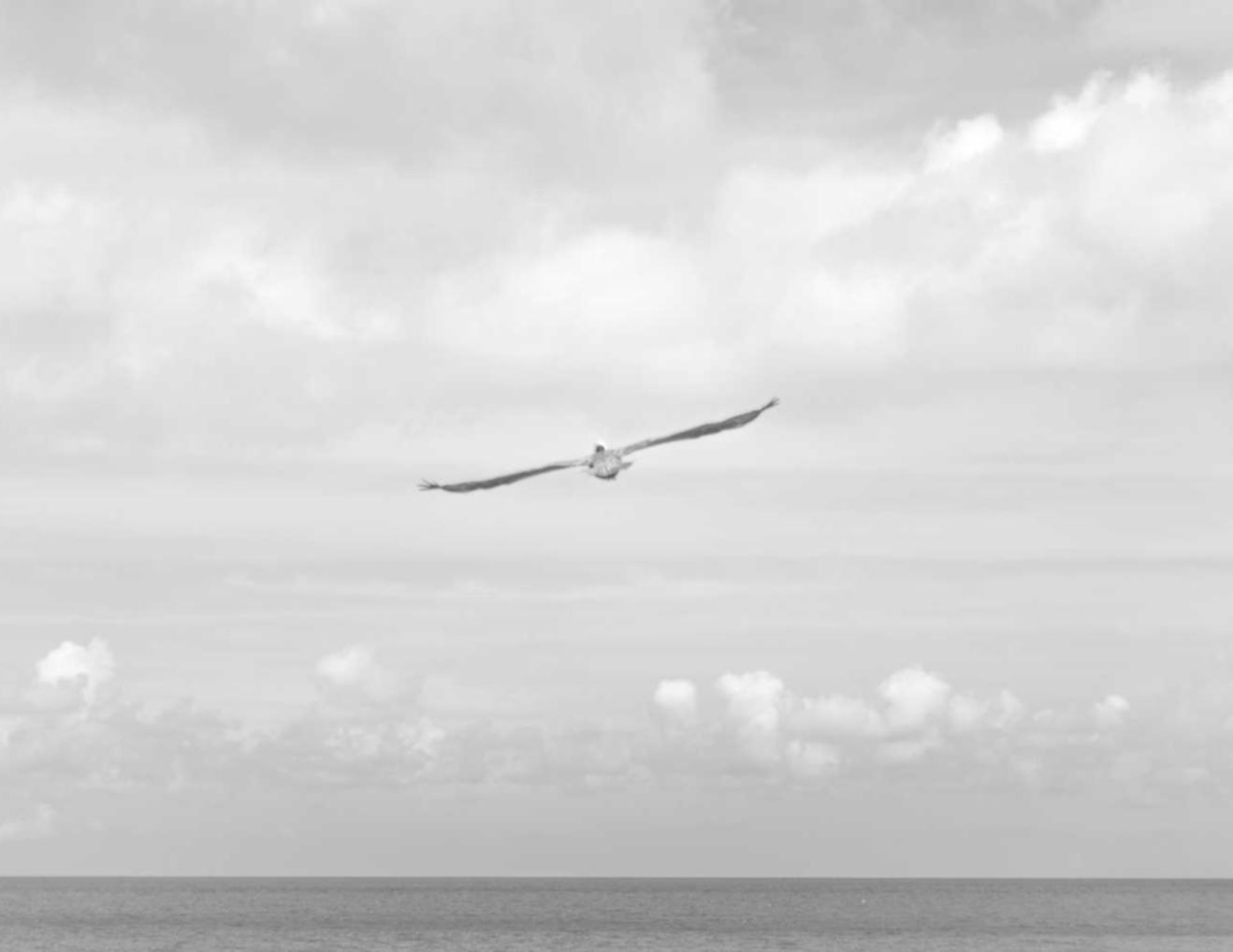 银盛通信实名账号：专辑购买平台ny