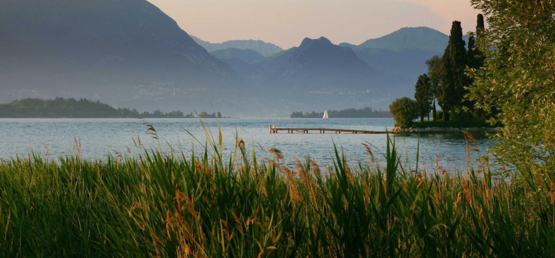 DDOS在线压力测试|知名公司的黑客案例研究