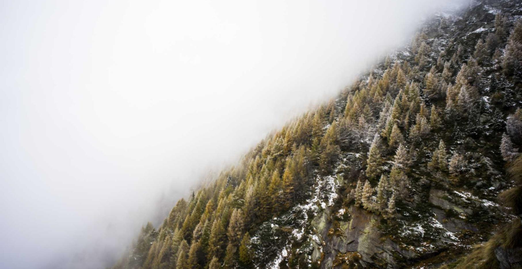 青年一派实名账号：诛仙手游573区购买账号