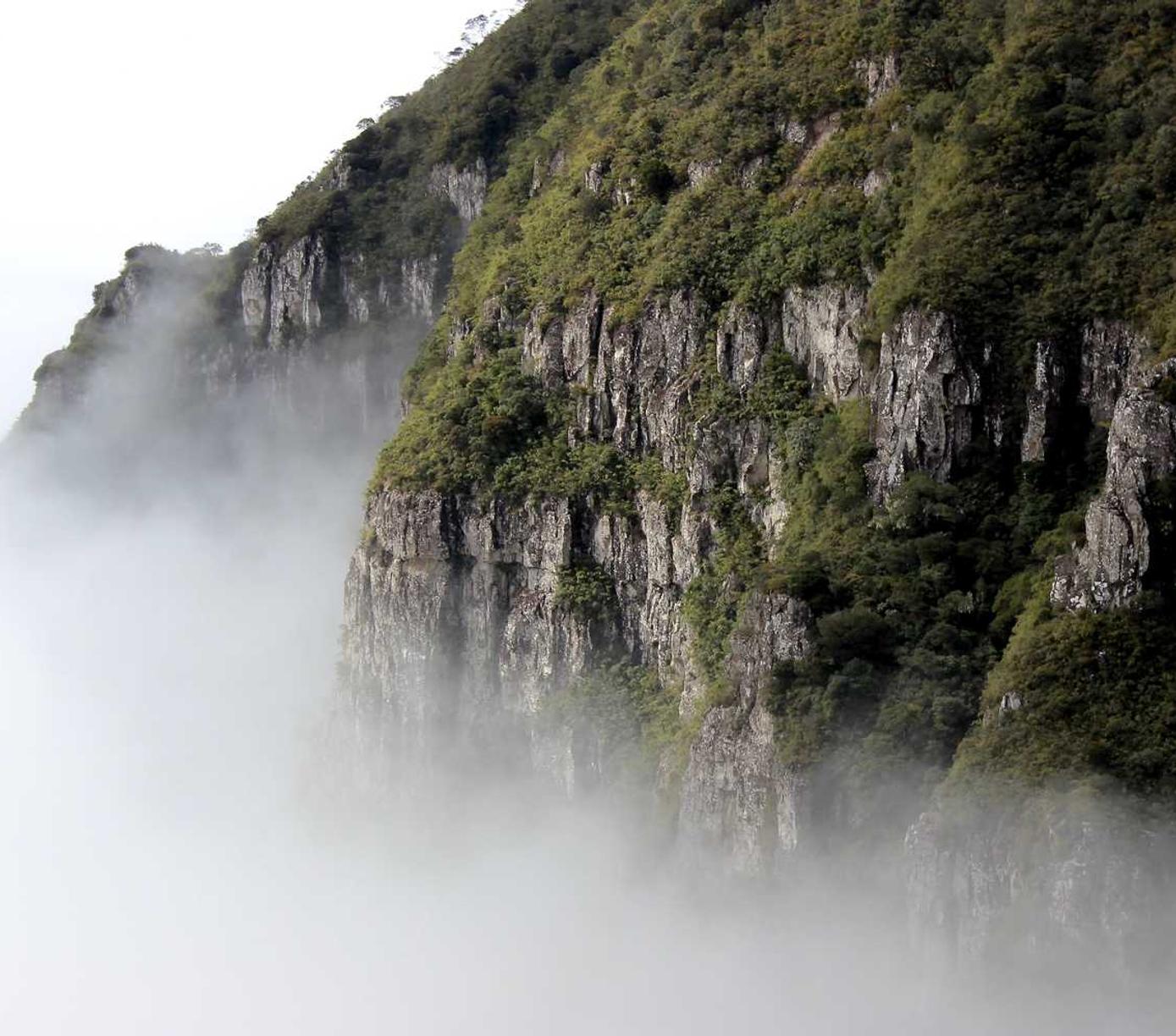 各类app实名实名账号:代理注册广州公司怎么注册