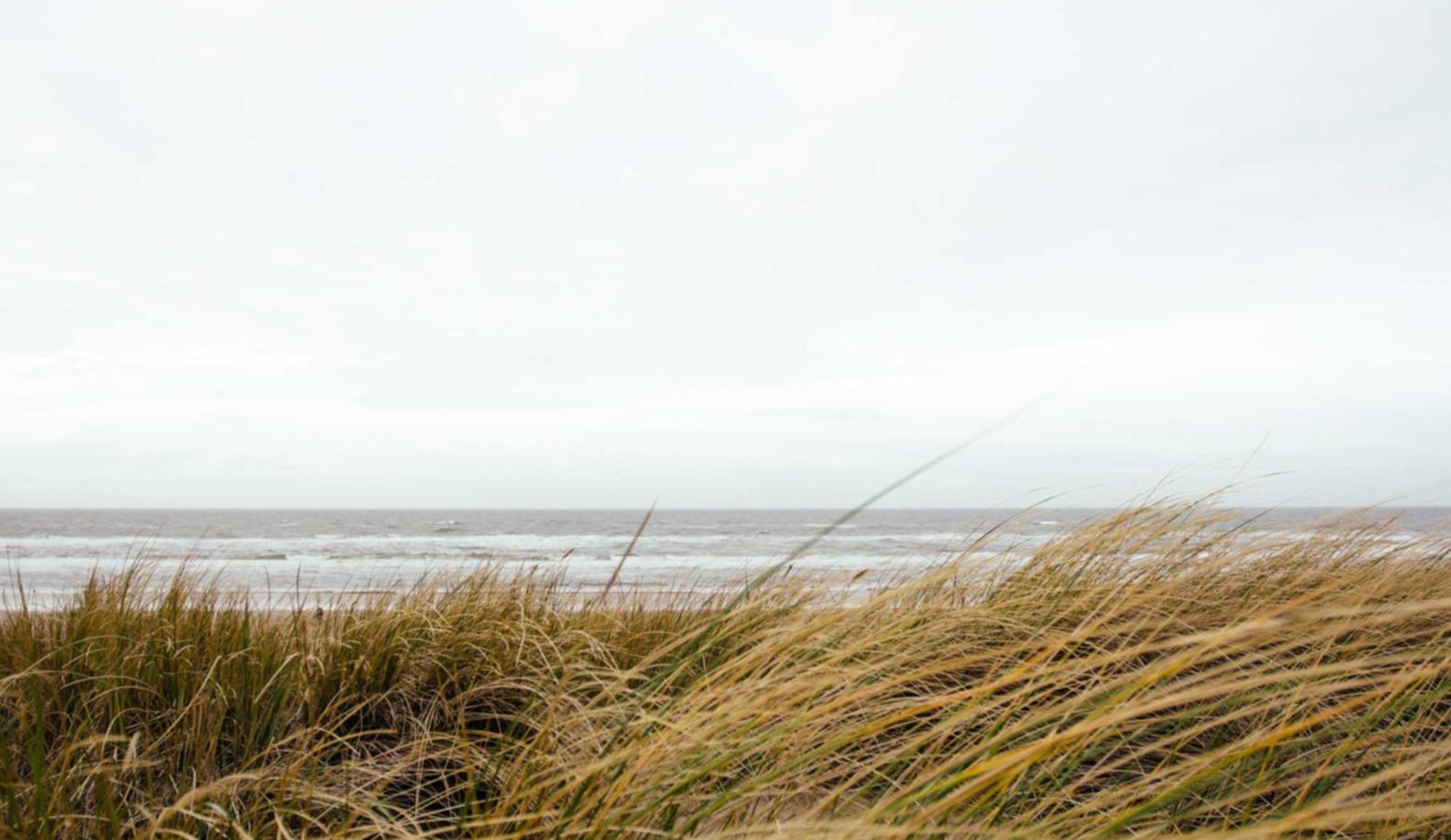 豪利时草莓双爆珠:环翠区注册代理咨询