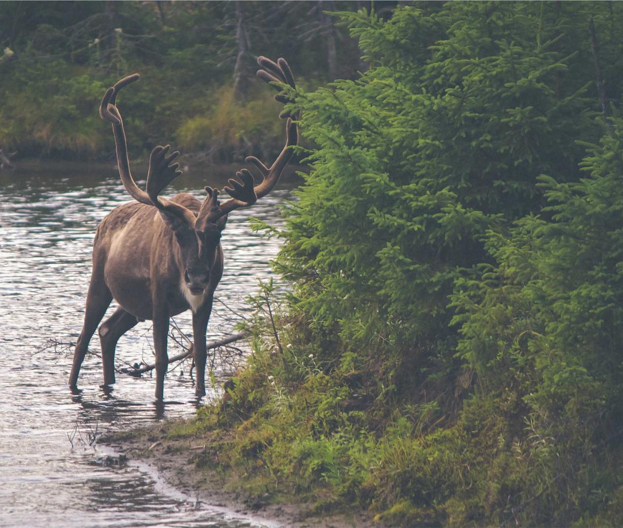 在线DDOS攻击平台|绍兴公司注册代理哪家好