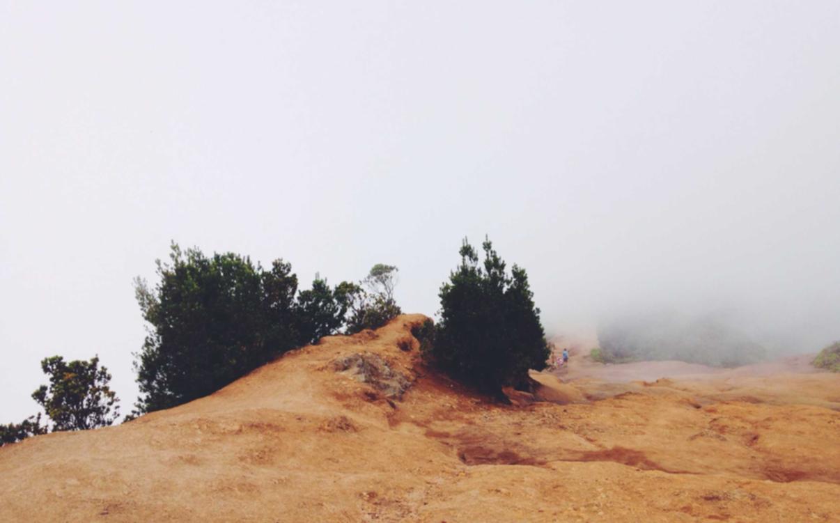 豪利时薄荷双爆珠（细）：潭村注册代理