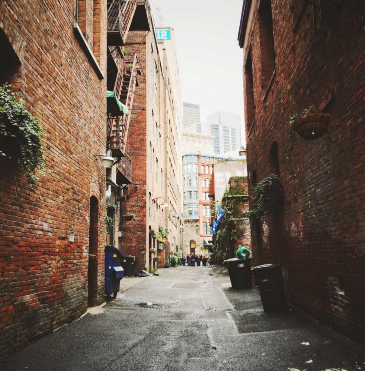 DDOS网页端|黑客攻击的技术难度与风险评估