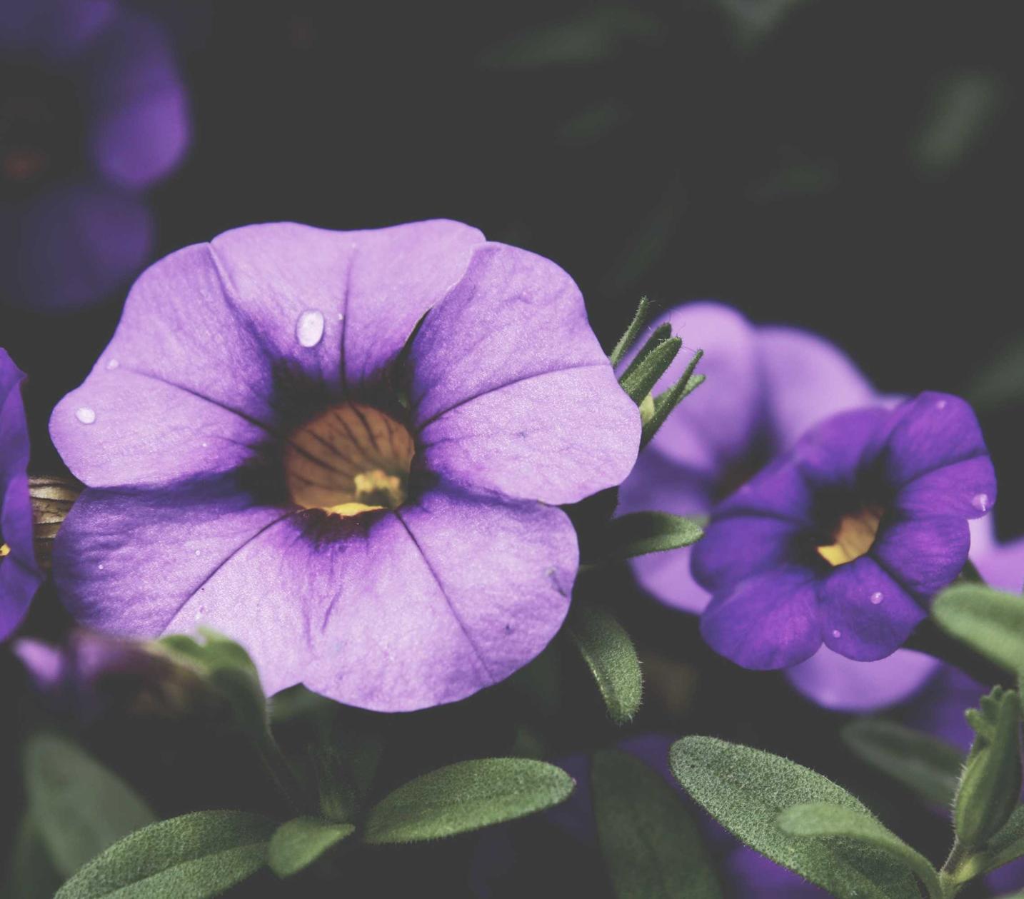 车智管怎么注册账号