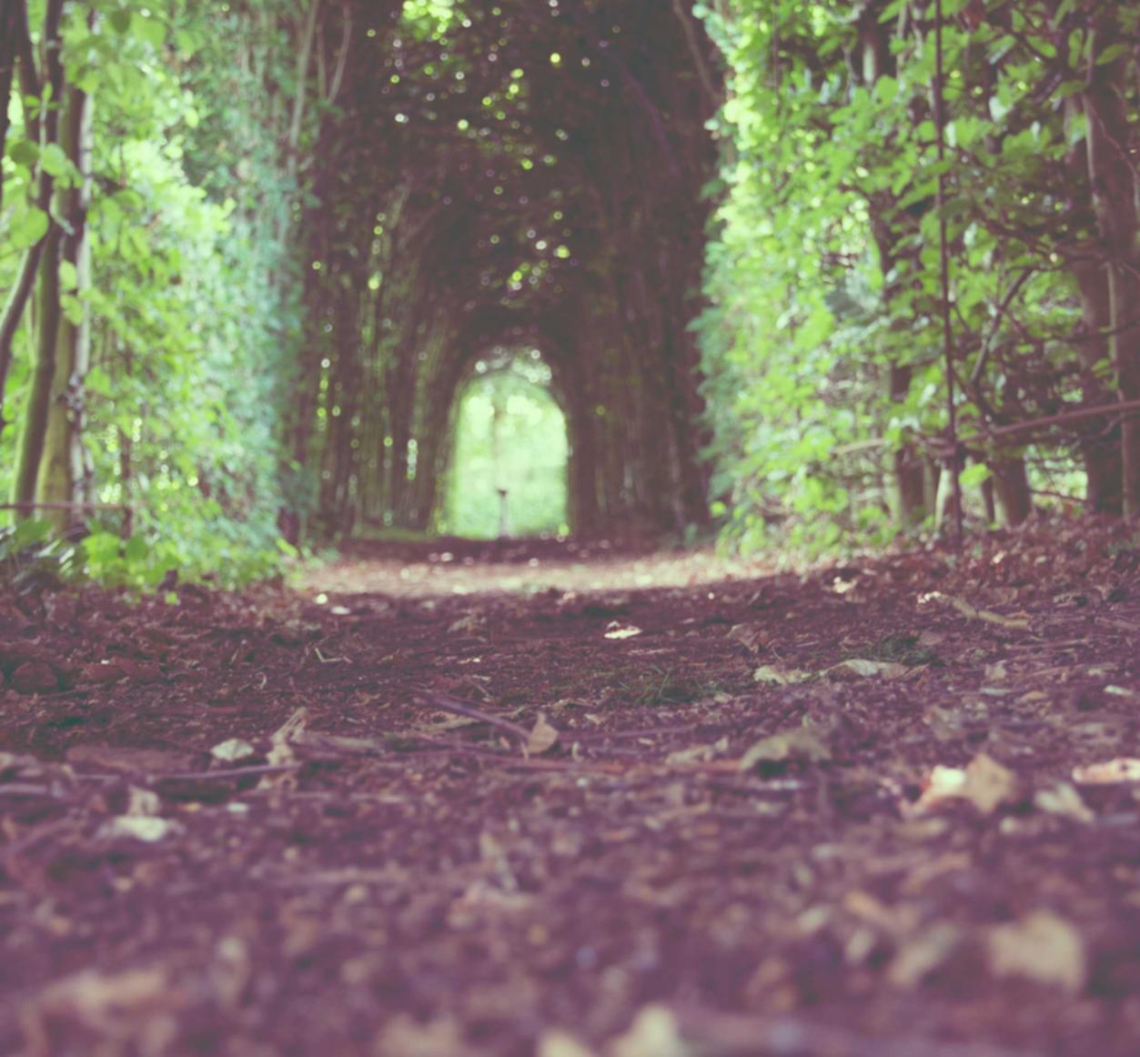 信时空实名账号：王者荣耀小白龙账号购买