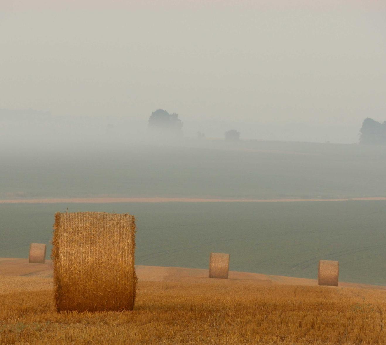 安尼卡：暗黑世界无尽轮回：代理记账免费注册平台