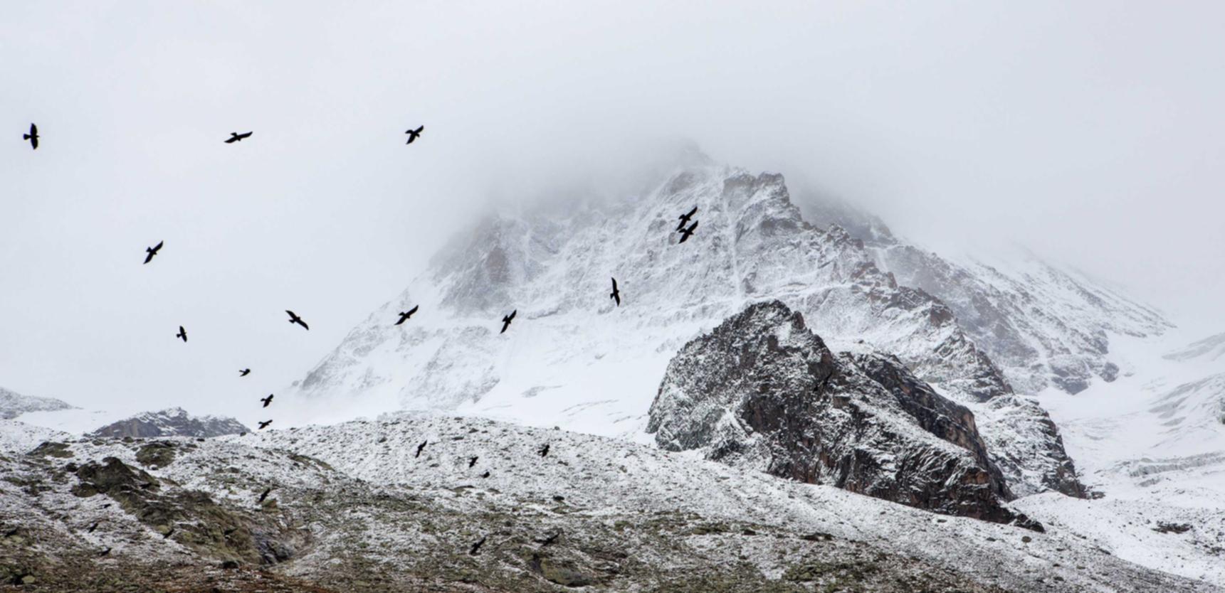 http攻击|海南注册代理公司