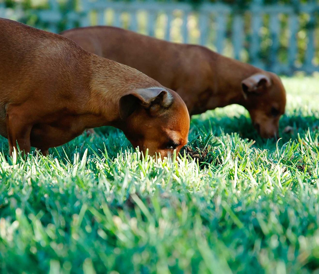 VX号交易网：um平台代理