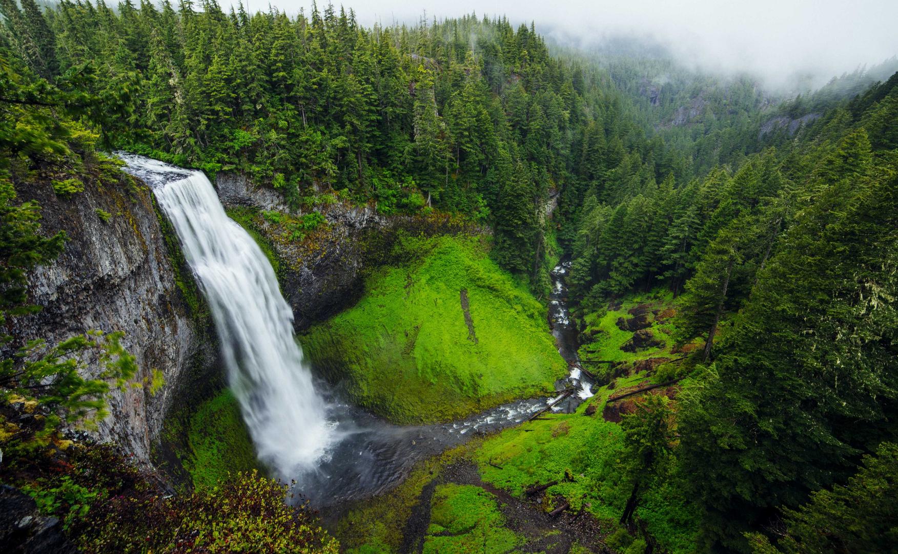 指尖领主：岳阳工注册代理