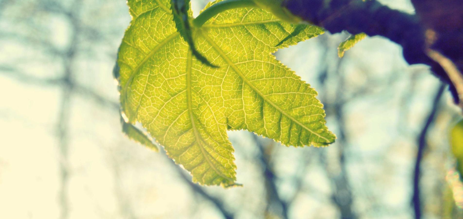 欧盟红万宝路：众贷汇APP详情下载教程