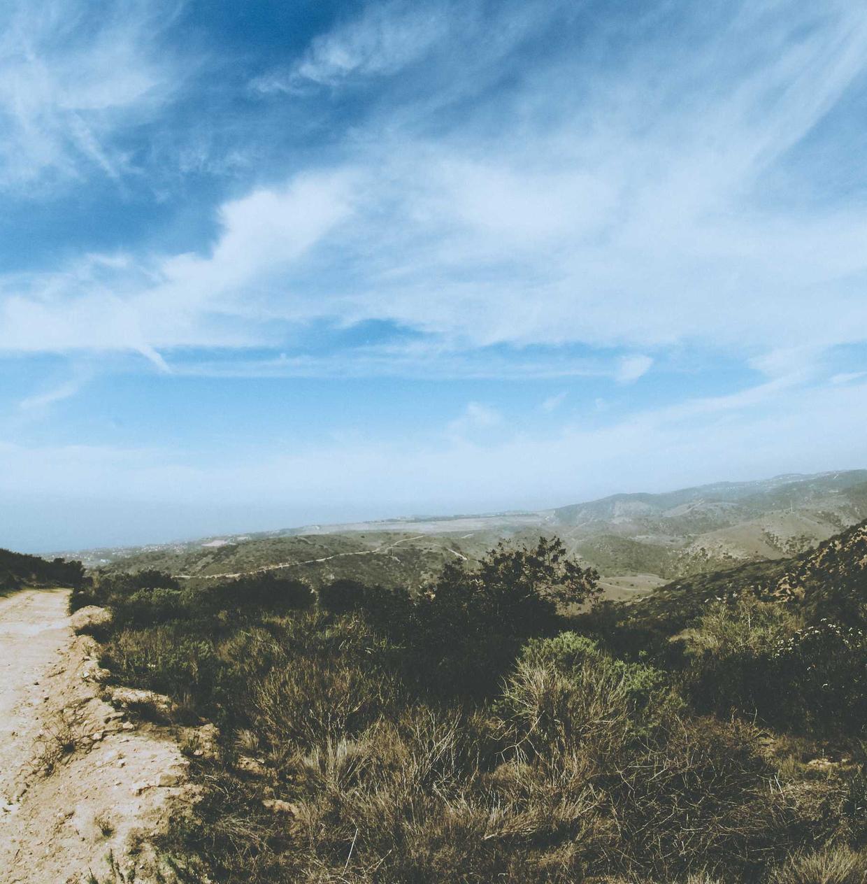 吸烟对自闭症的影响：是什么让部分人易受影响？