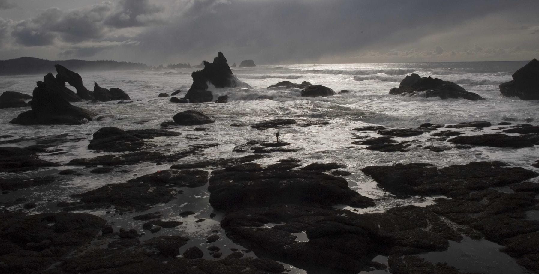 小冰冰传奇：福建实验化学试剂购买平台