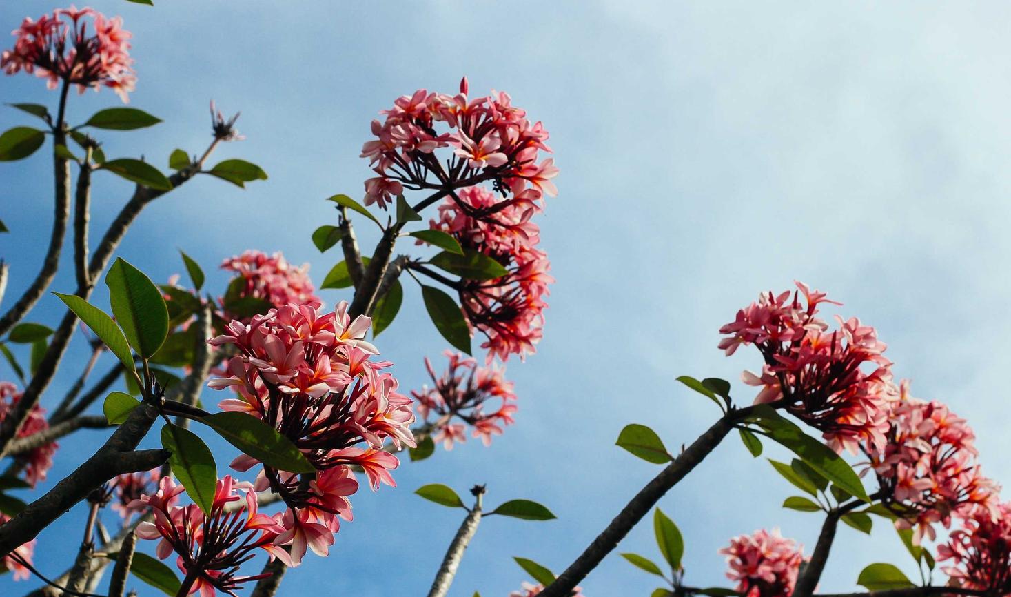 DDOS压力测试网页端|蛇口代理注册公司