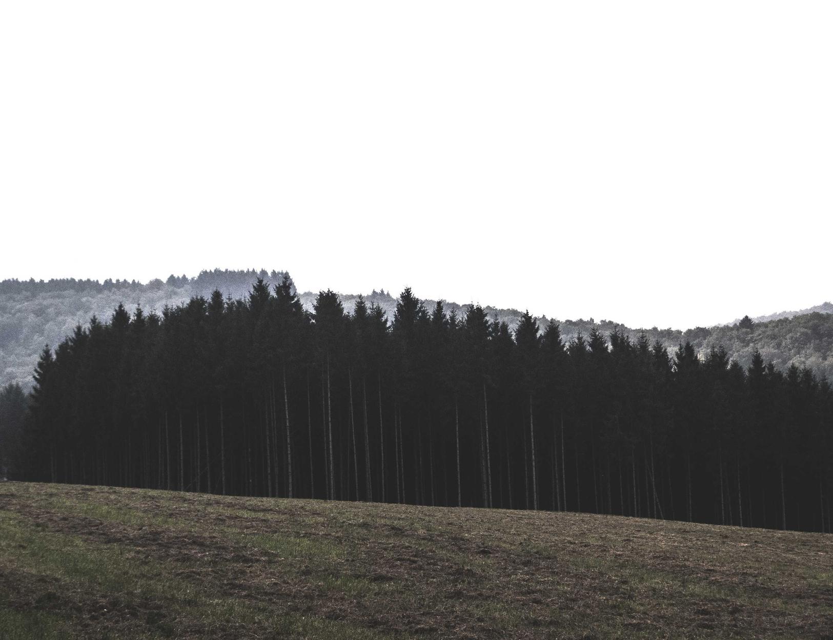 中麦通讯实名账号：代理注册阳光滴滴