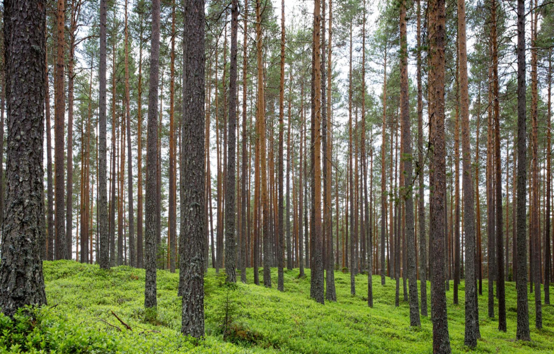 短信营销在金融行业中的应用