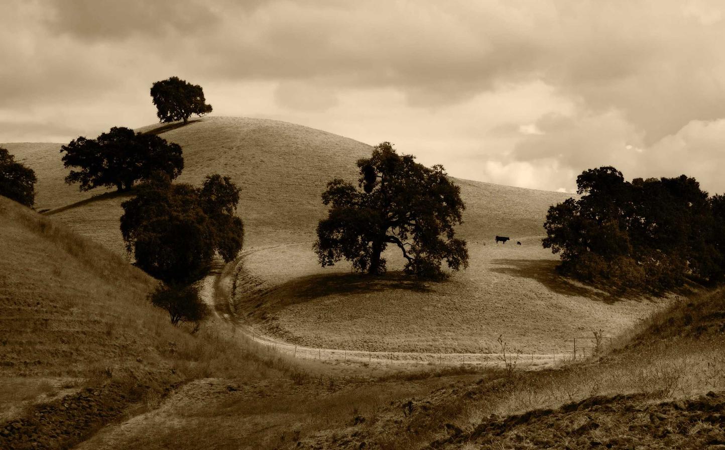 欧盟寿百年（彩寿）：广西注册 代理公司注册