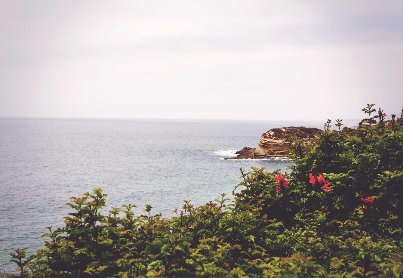 春秋项目规划任天堂账号注册页面图片