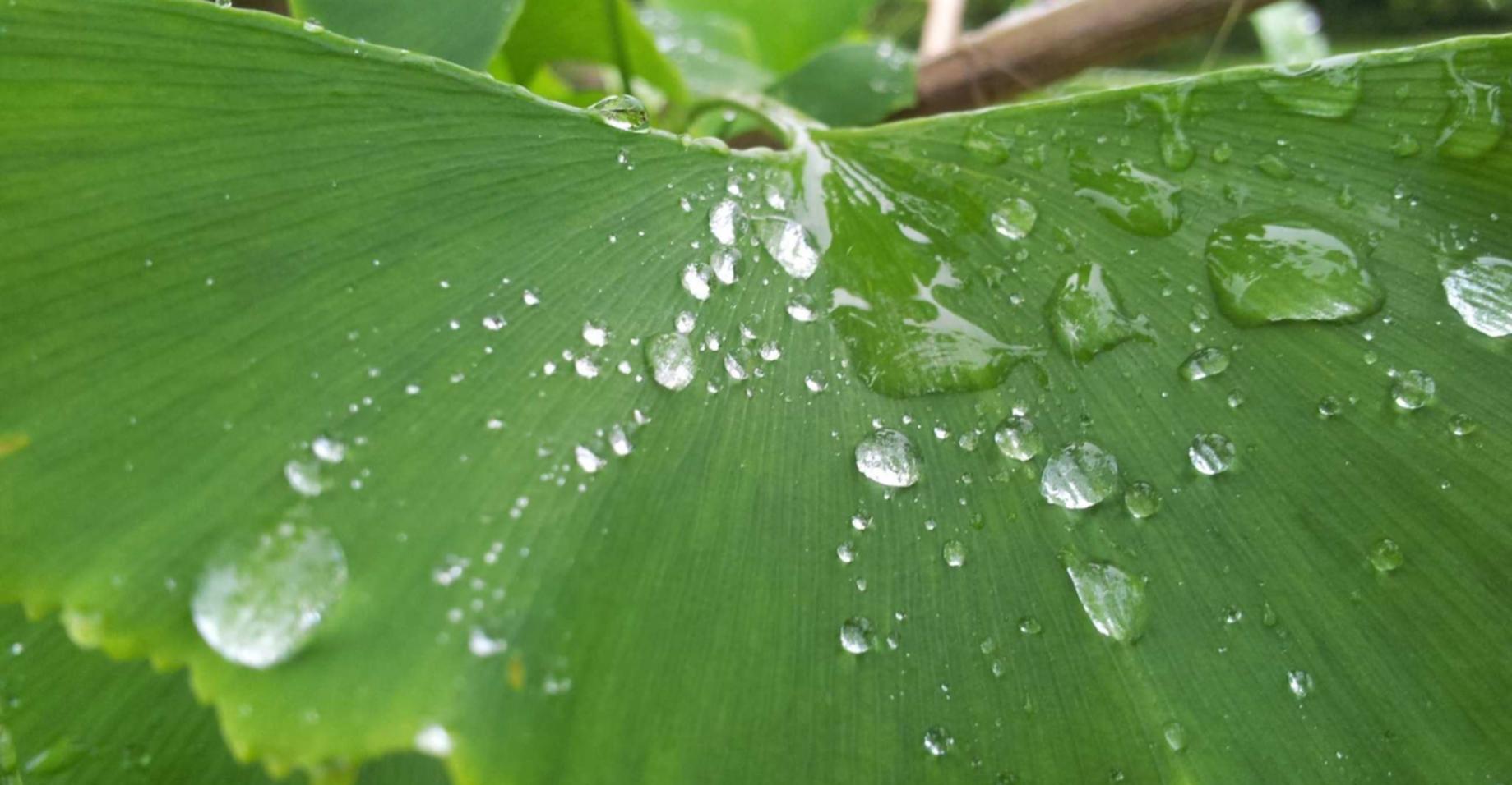 京东云实名账号:天津代理注册公司诚信服务