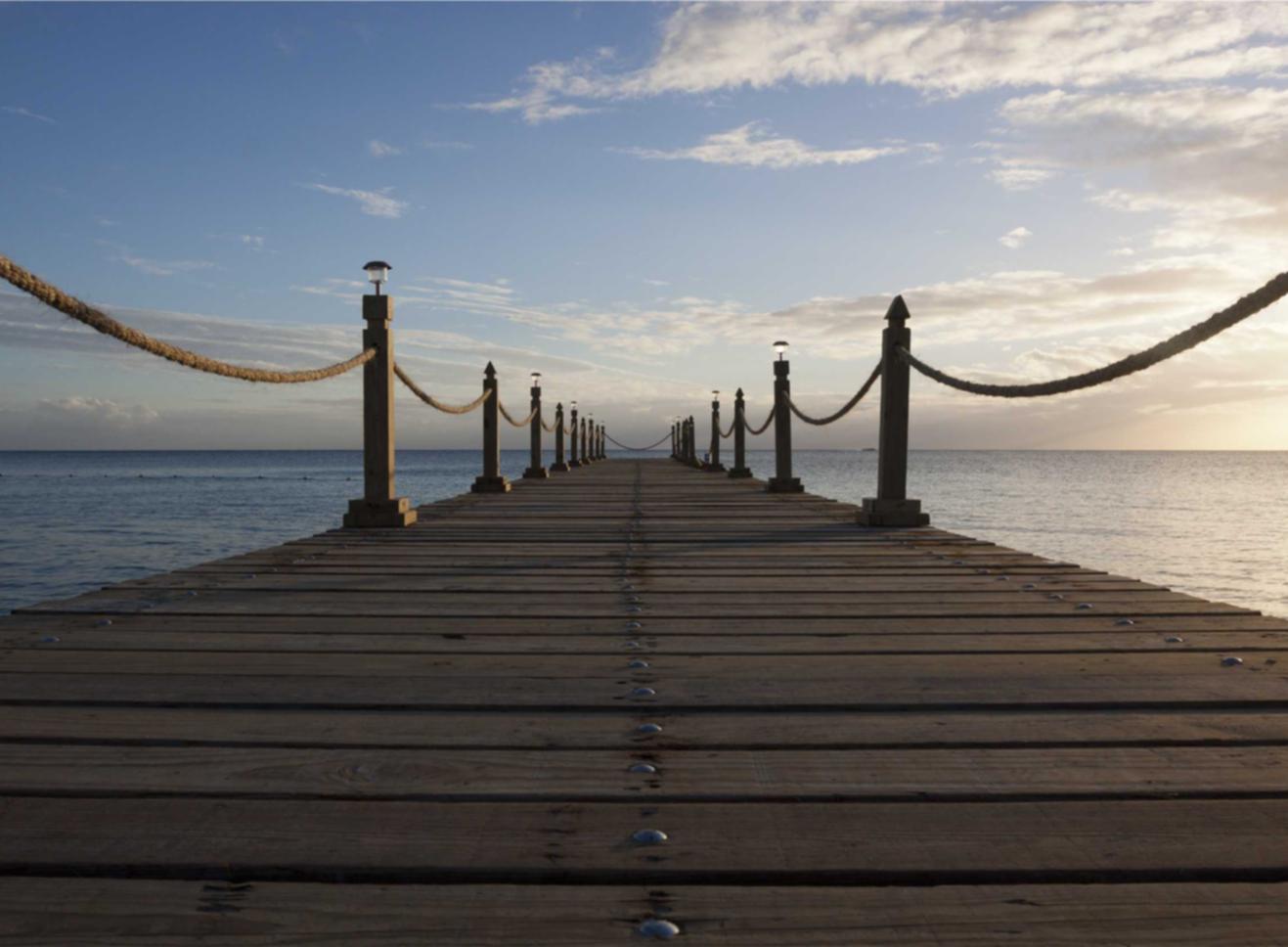 DDOS在线压力测试|如何识别和应对网络钓鱼攻击