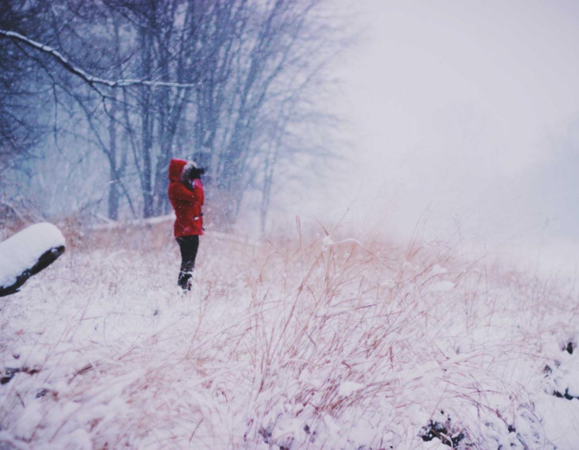 解读DDOS攻击防御软件- 龙江人社怎样注册账号