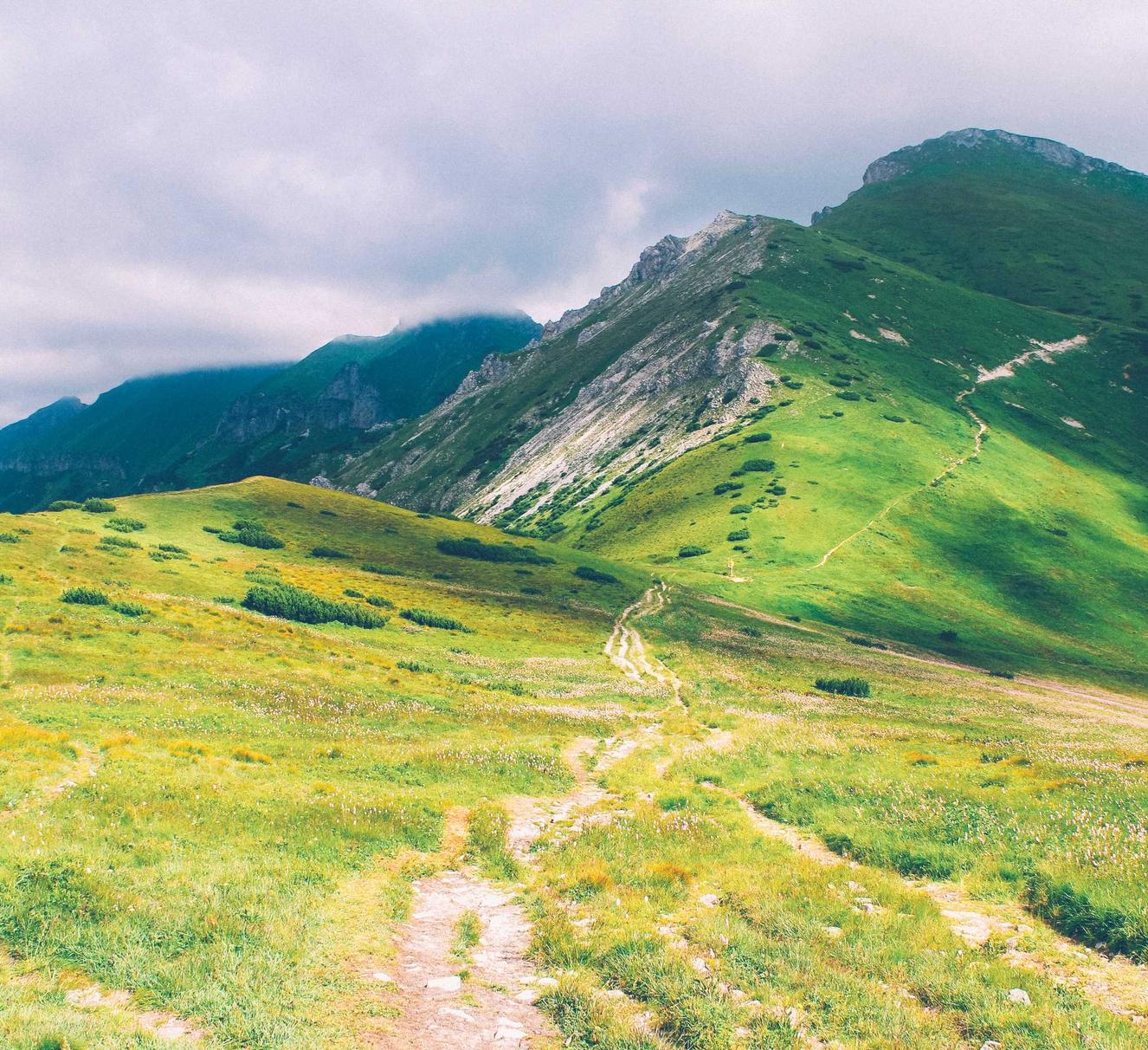 无尽的拉格朗日:网上注册炒股账号有风险吗