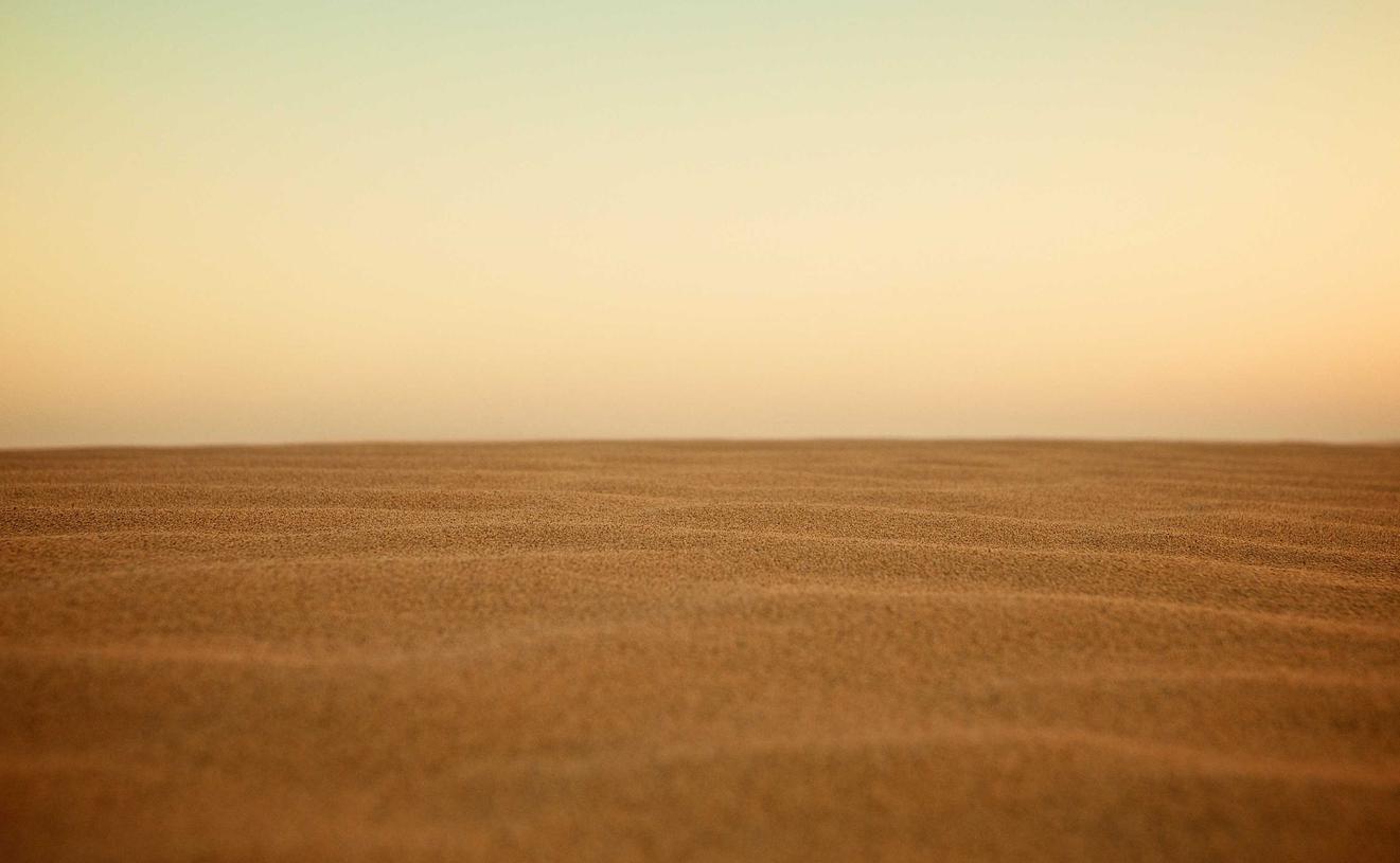 金鳞虎牙app官方详情下载教程网址