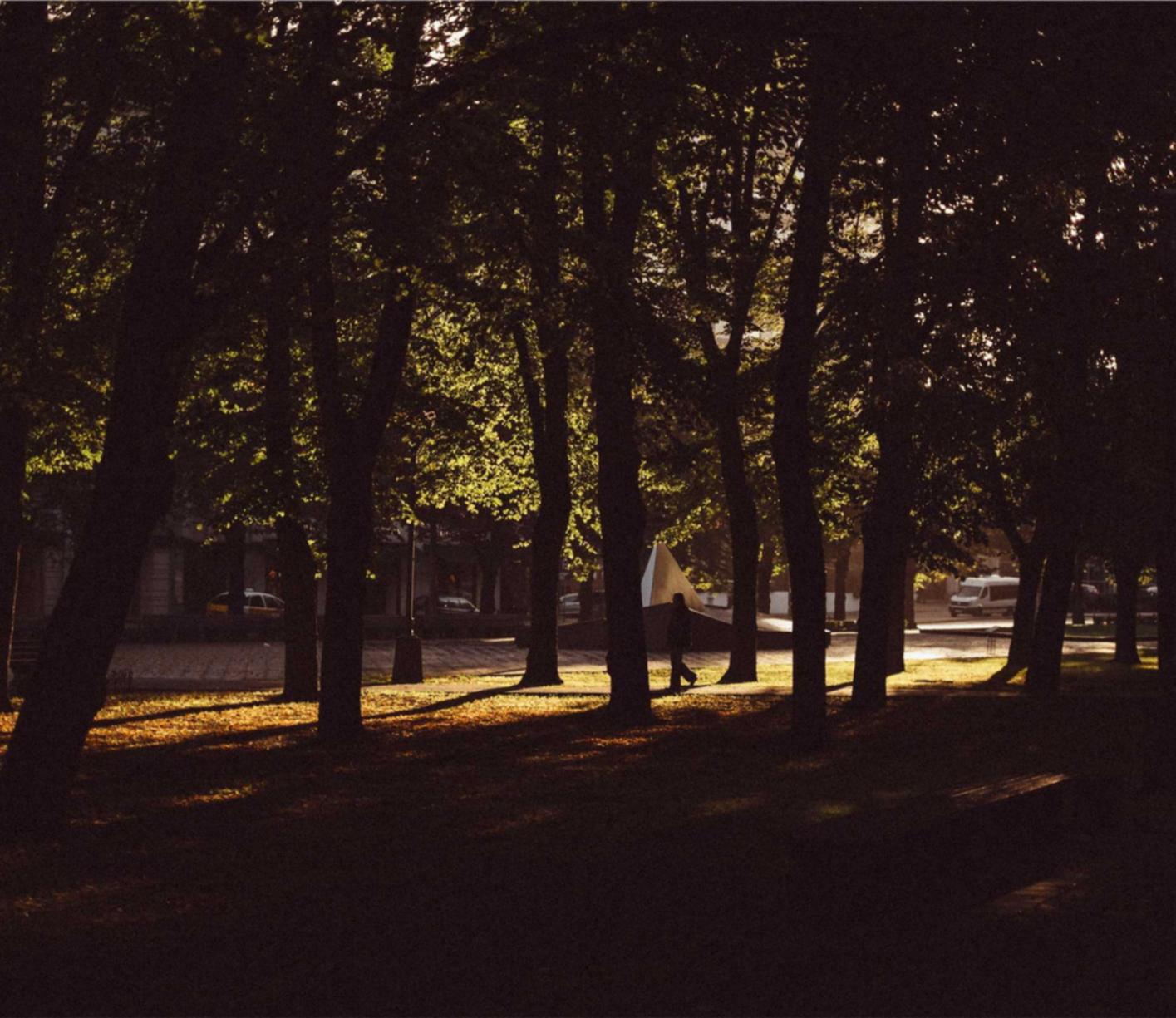 滴滴实名账号:代理注册公司法人的责任