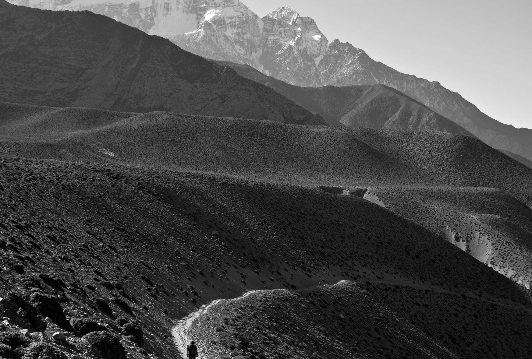 阿里手机卡实名账号:中都街道注册公司代理地址