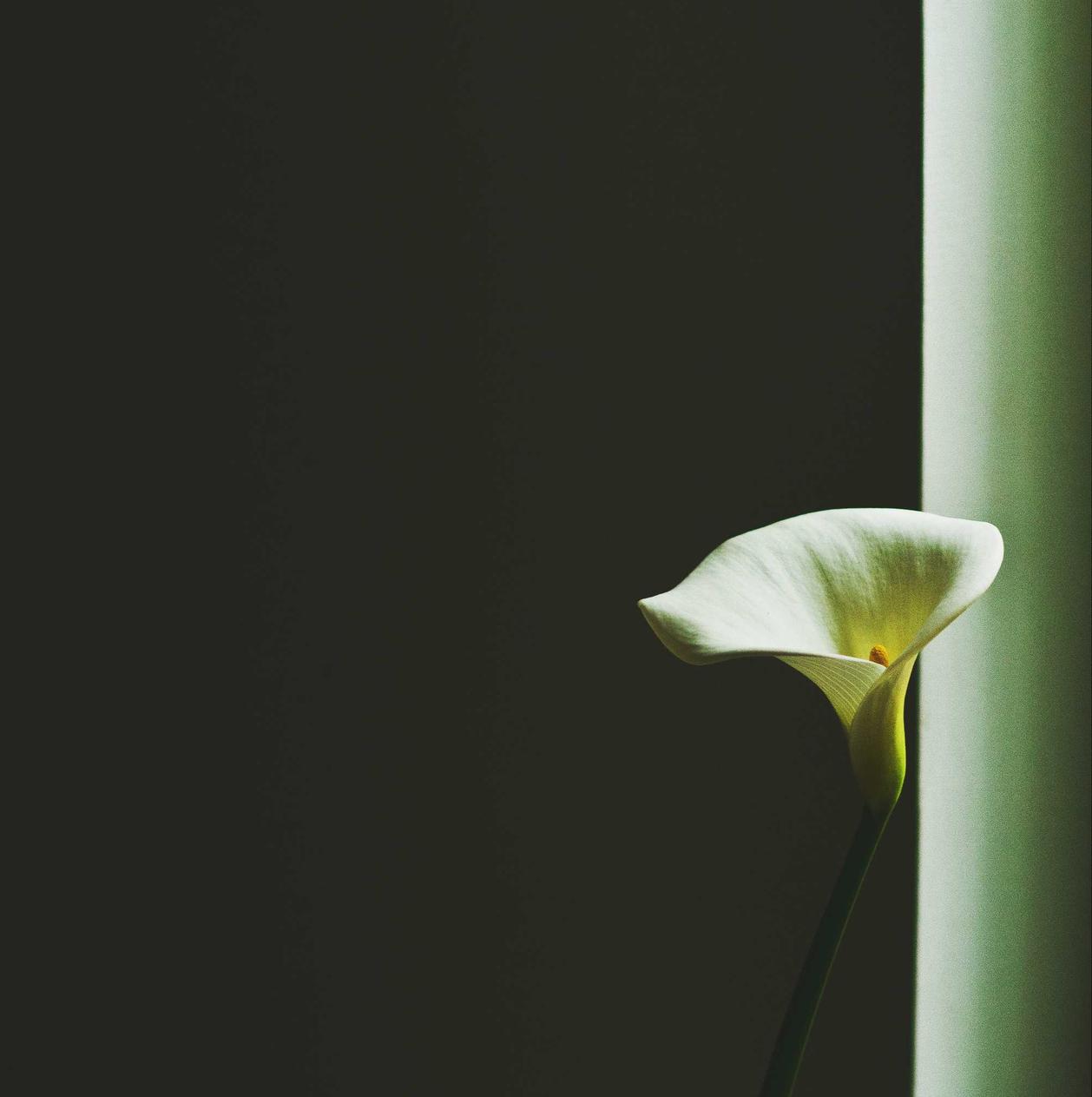 快代理ip实名账号:汽车购买平台是否应该实行实名认证?