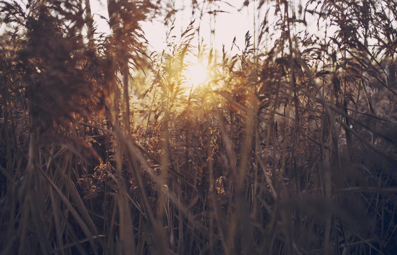 爱琳诗篇：怎样查询账号是否注册成功