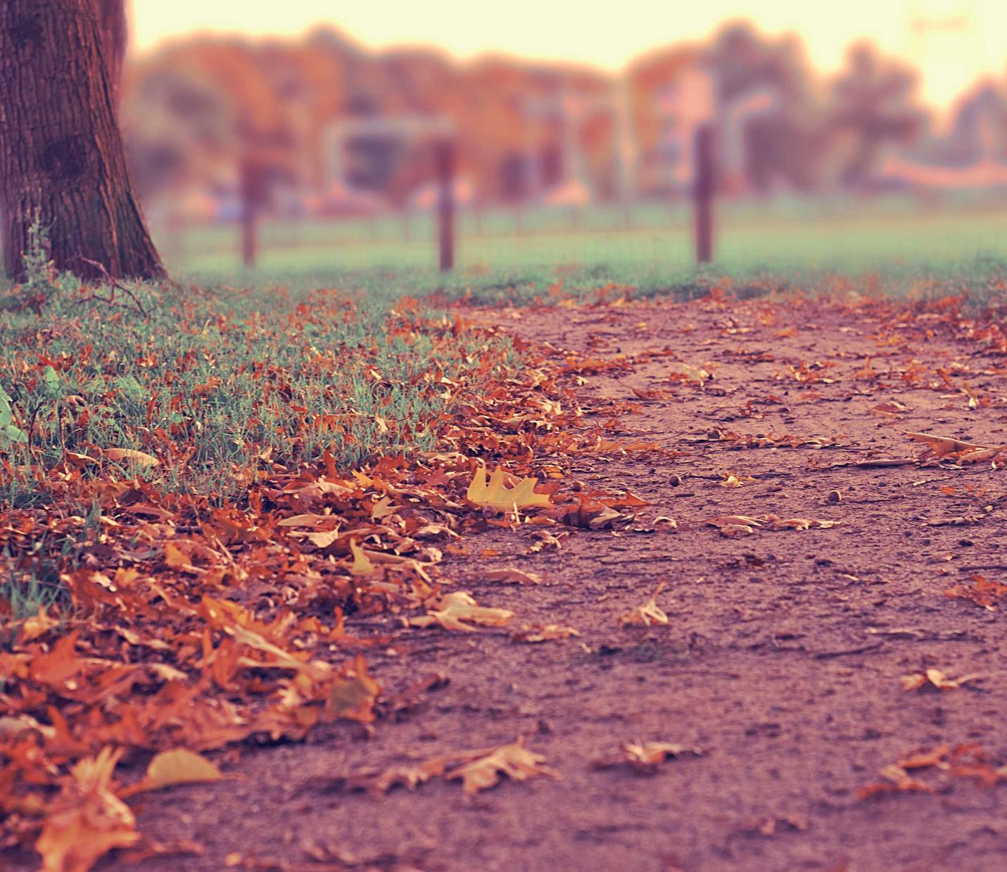 美股开户什么平台快