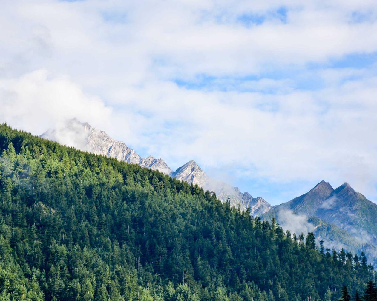 微信新号买卖：三公游戏app详情下载教程