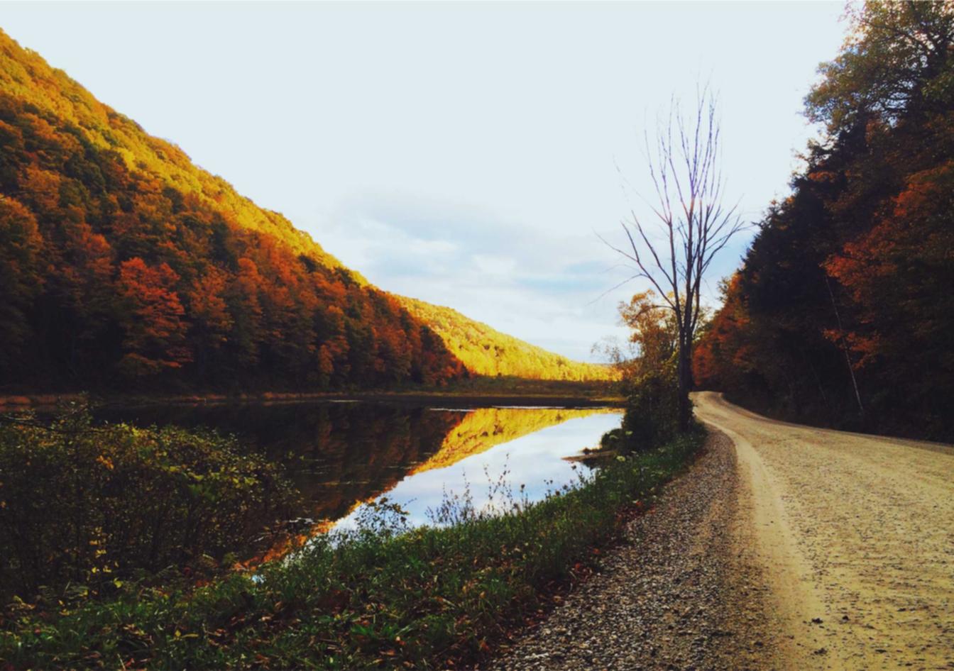 阿里山中支大华黄金眼爆珠：江苏代理报税专业平台