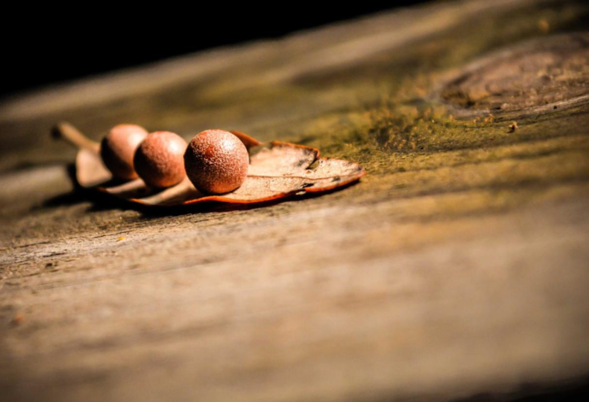 全新微信买卖：登封工商注册代理