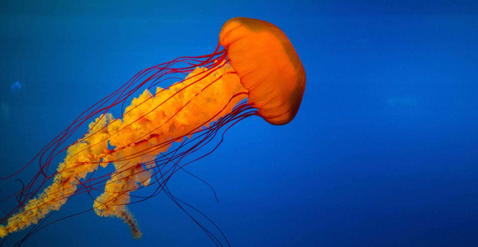 银行账号自动对应开户行吗