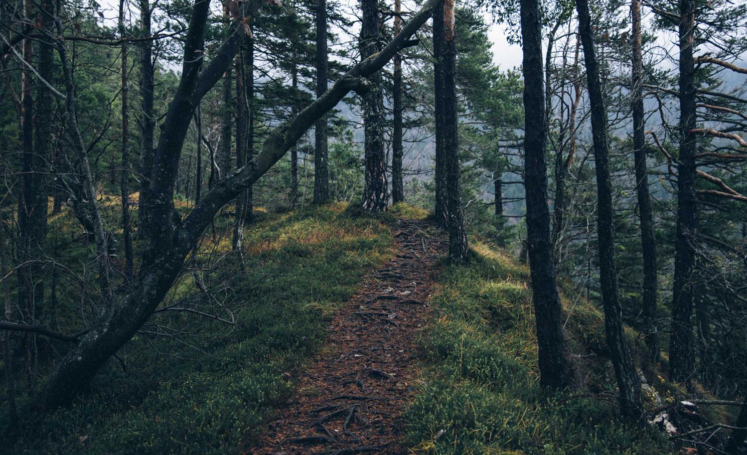 远特信时空实名账号:浙江政务服务官网注册账号