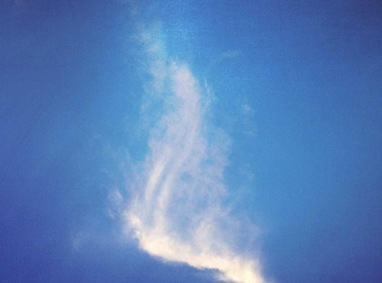 定制防御方案！根据企业需求选择最佳的DDoS攻击防护服务！