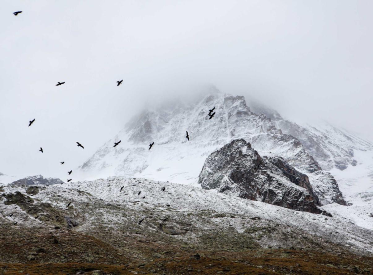 港免税白金万宝路:武汉黄陂注册代理
