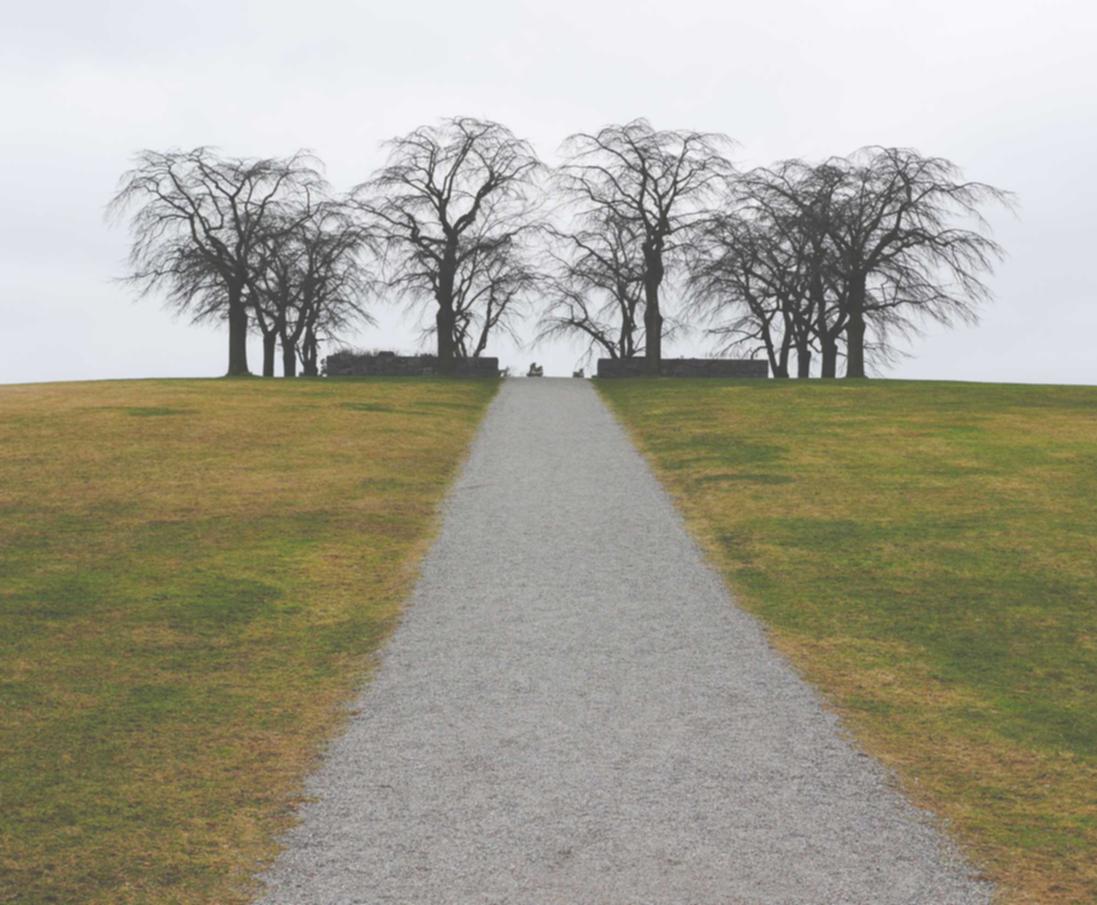 吞星辅助- 马上花app详情下载教程安装