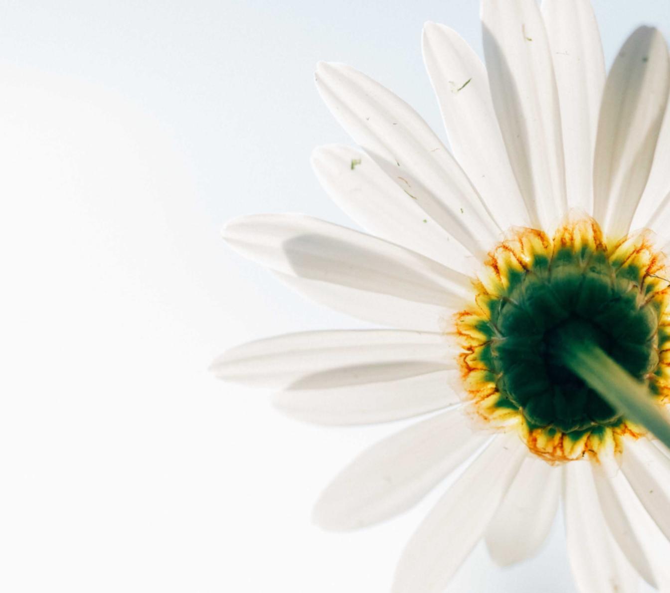 全国招商代理平台有哪些