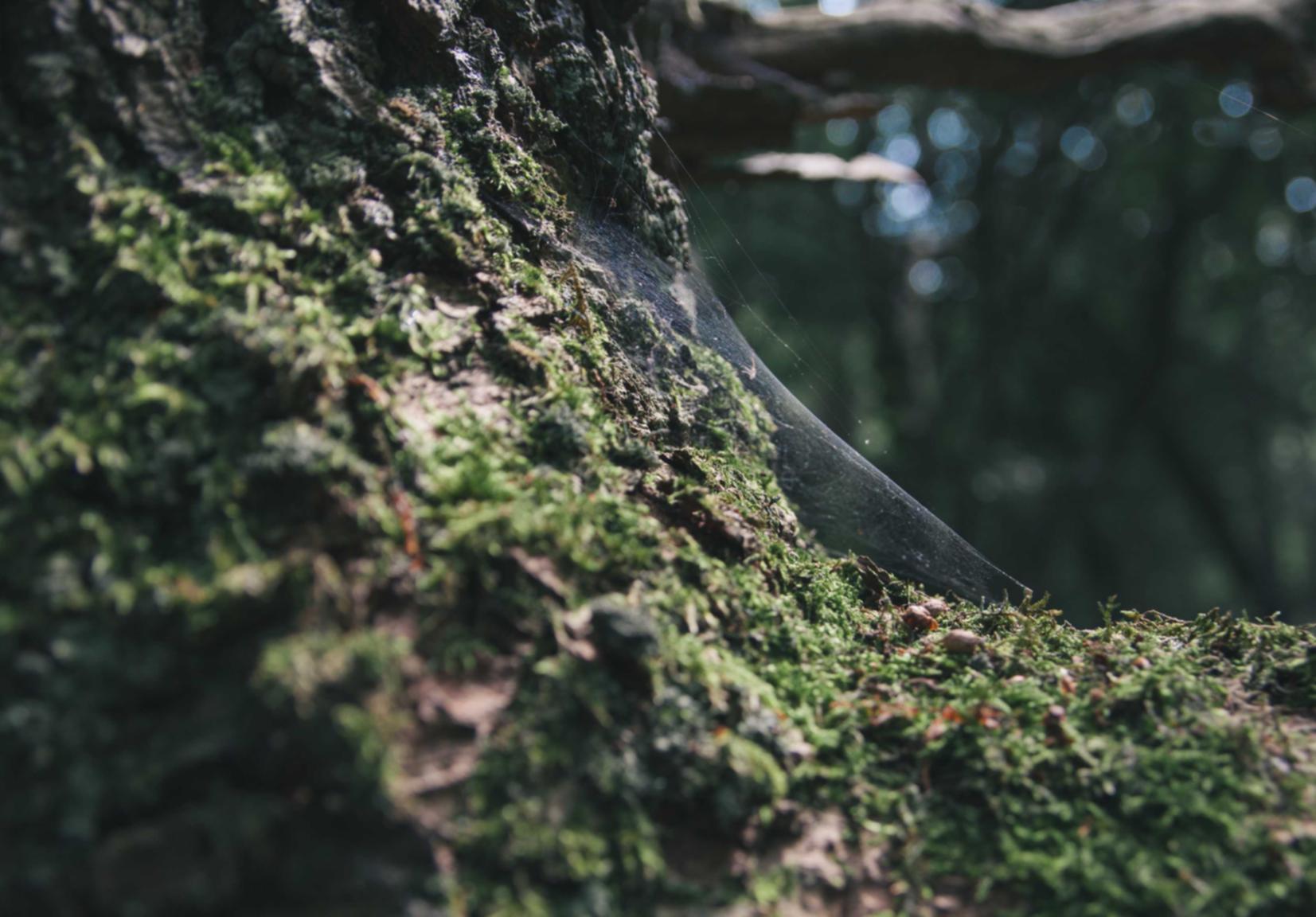 莫让香烟成为你生命中的最大遗憾