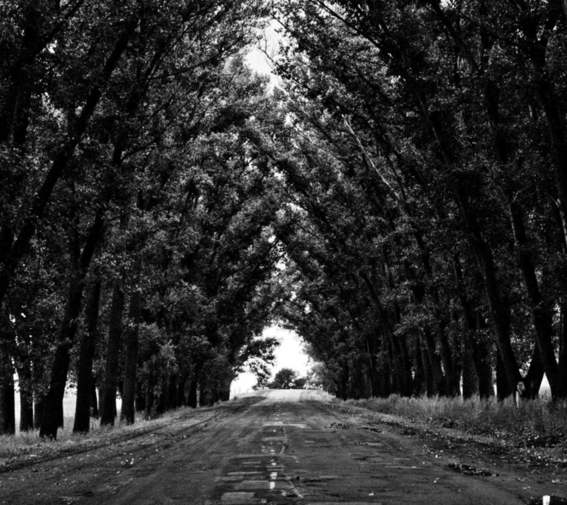 话机世界实名账号:伴奏购买平台app