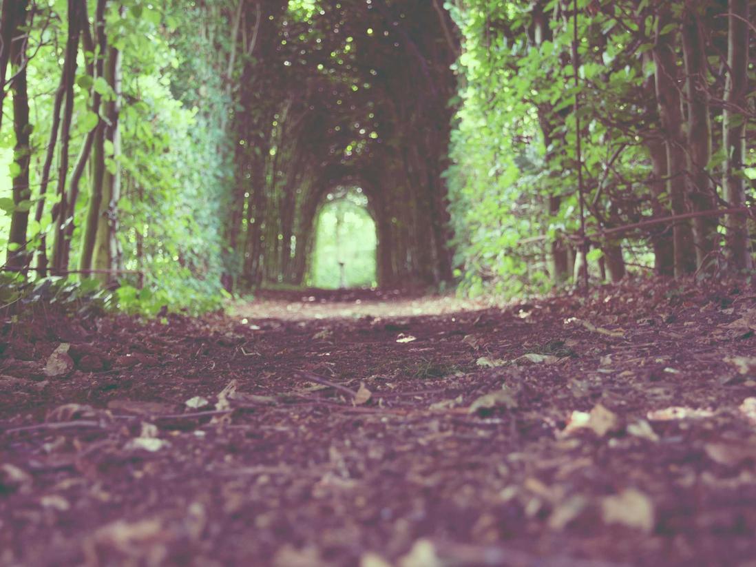 聚名网实名账号:郴州跑胡子平台代理