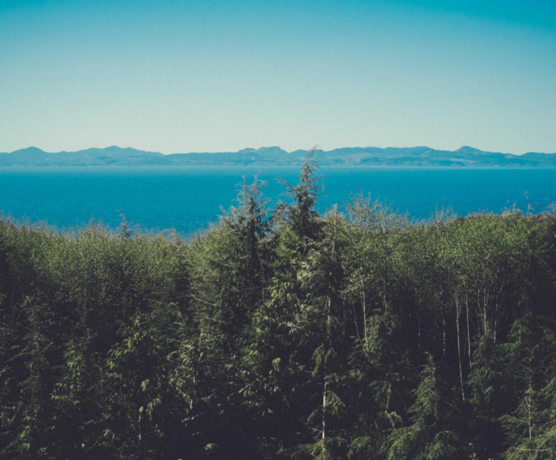 天堂2M（国际服）：小说第三方代理平台收费